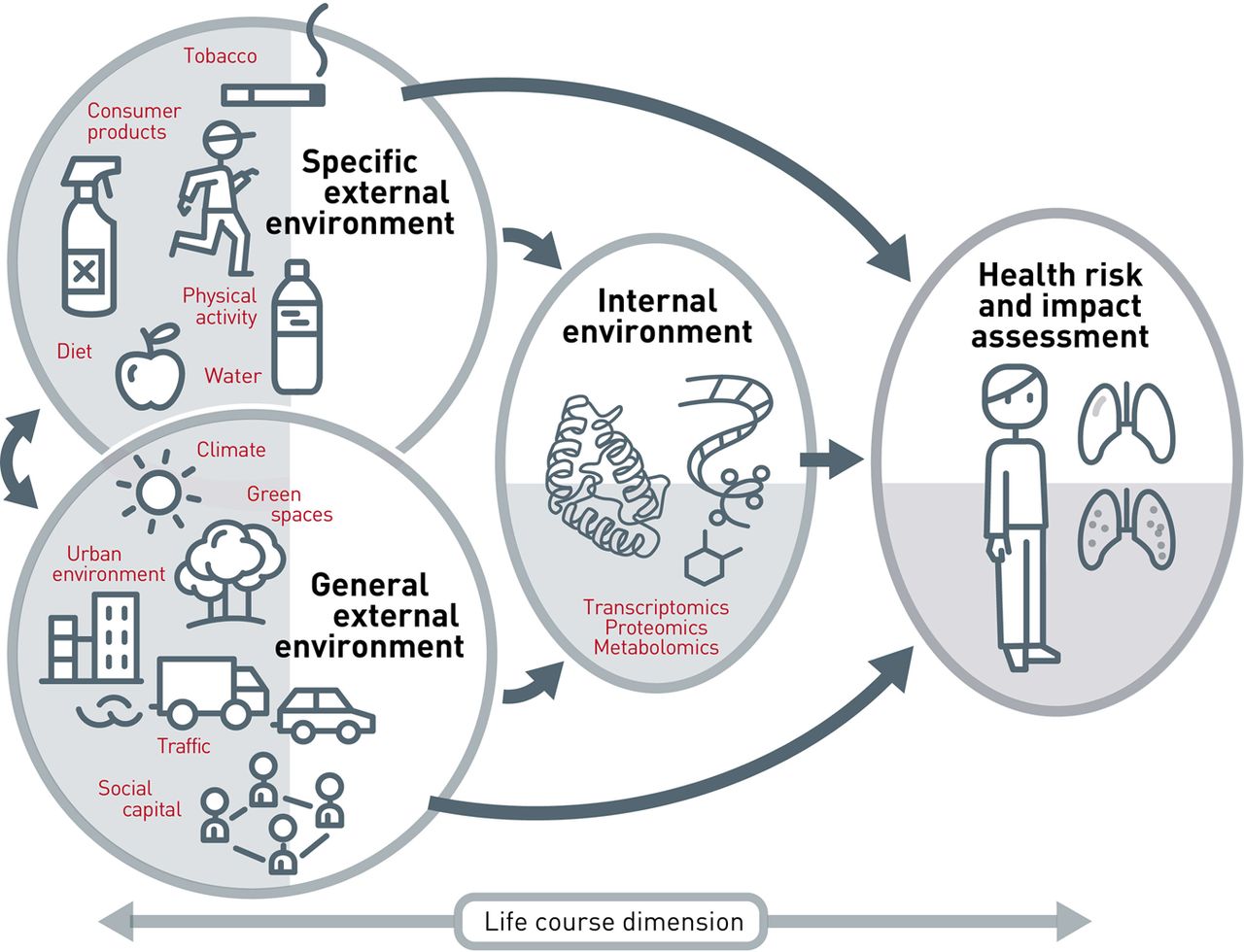 Image schematically showing the interrelation between elements of what makes up the exposome. On the left depicted a lot of factors such as smoking, climate, diet; in the middle the internal environment of the person and to the right the health impact assessment of all this.